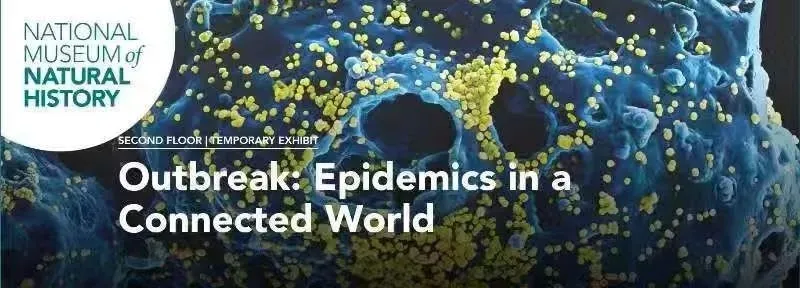 博物館:?jiǎn)酒鸩荒鼙贿z忘的疫病記憶(圖3)