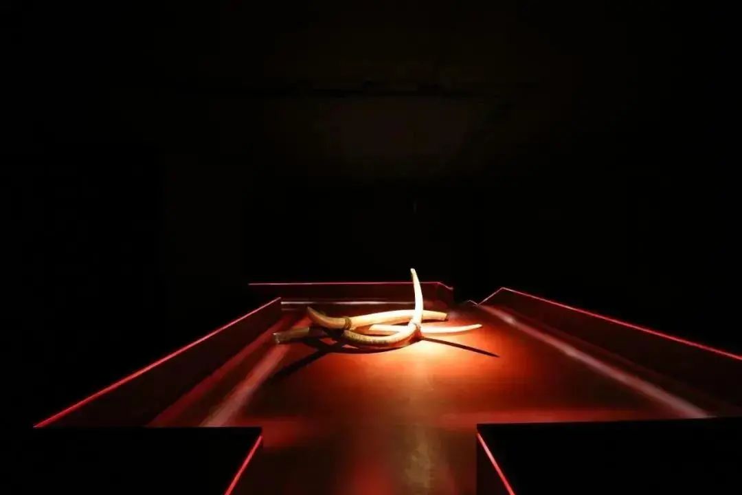 圈內(nèi)必看！國外那些讓人驚艷的博物館照明設(shè)計(jì)~(圖13)