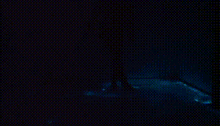 美爆啦！全球最激動(dòng)人心的燈光藝術(shù)節(jié)~(圖7)