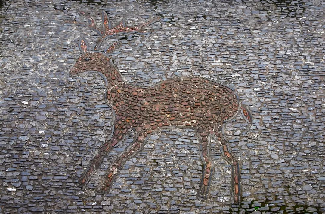 一見傾城！蘇州園林最美的花街鋪地~(圖12)