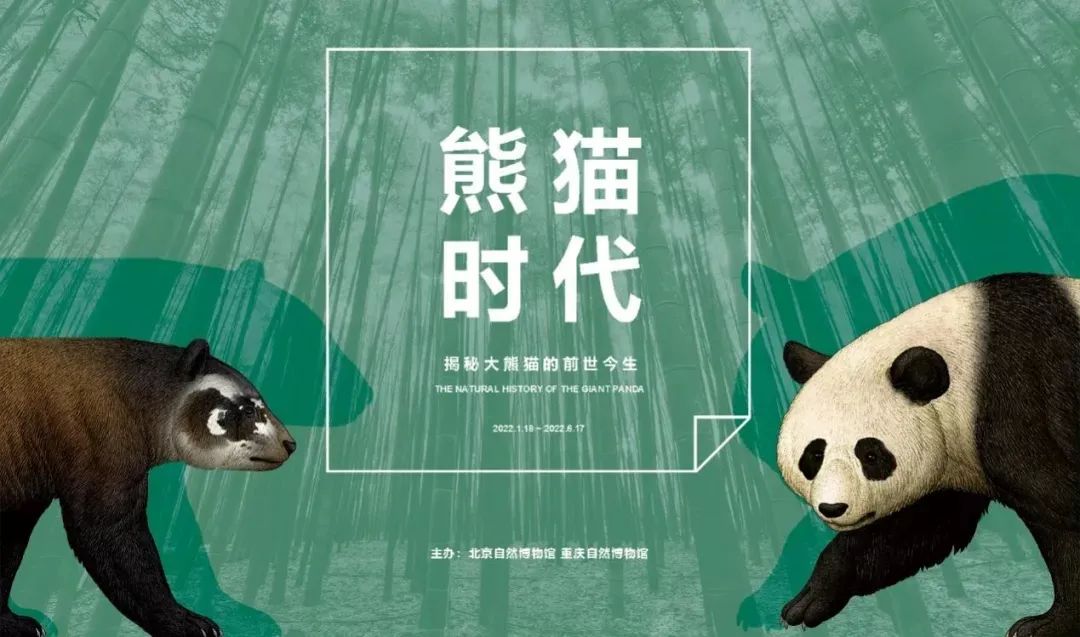 3月北京展訊丨最是一年春好處，最高人氣藝術(shù)大展等你去打卡...(圖10)