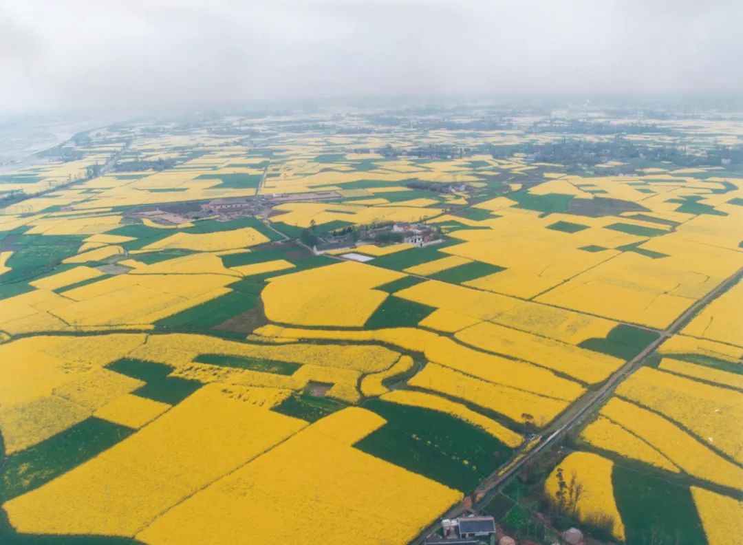 世界文明知多少之華夏文明篇~(圖7) 世界文明知多少之華夏文明篇~(圖7)